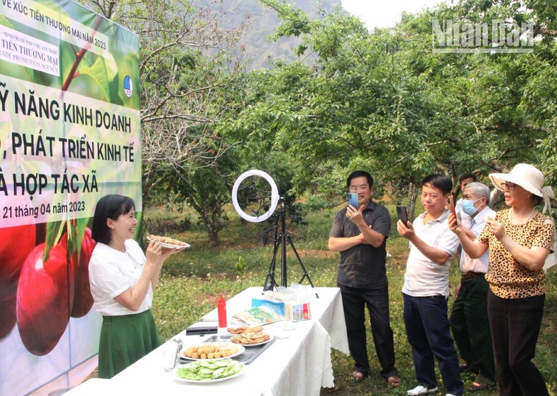 Sơn La: Giúp doanh nghiệp, hợp tác xã kinh doanh trên nền tảng số ảnh 2